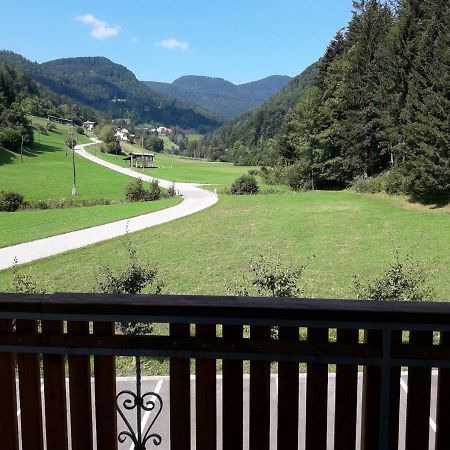 Simnovi Apartmaji - Surrounded By Nature 캄니크 외부 사진